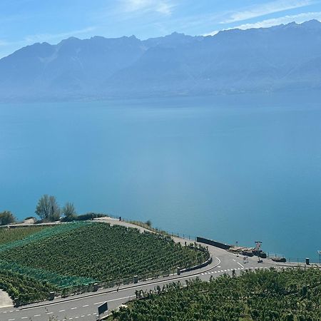 Room With 360° View Overlooking Lake Geneva And Alps Puidoux Kültér fotó