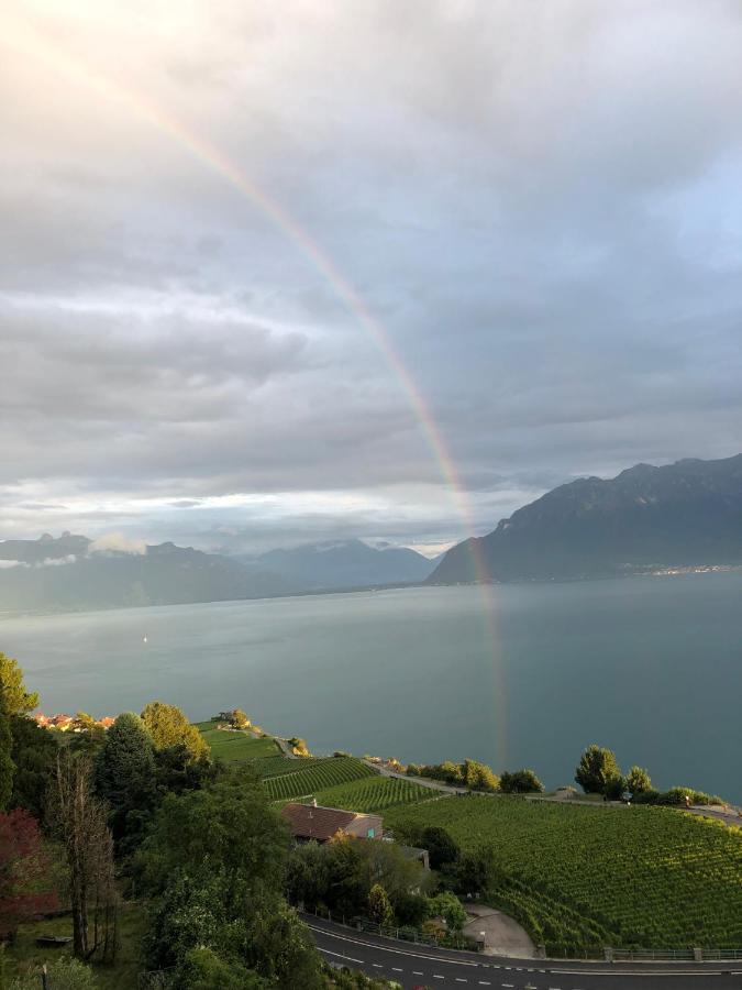 Room With 360° View Overlooking Lake Geneva And Alps Puidoux Kültér fotó