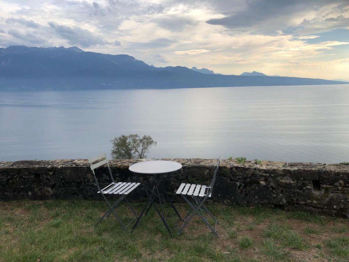 Room With 360° View Overlooking Lake Geneva And Alps Puidoux Kültér fotó