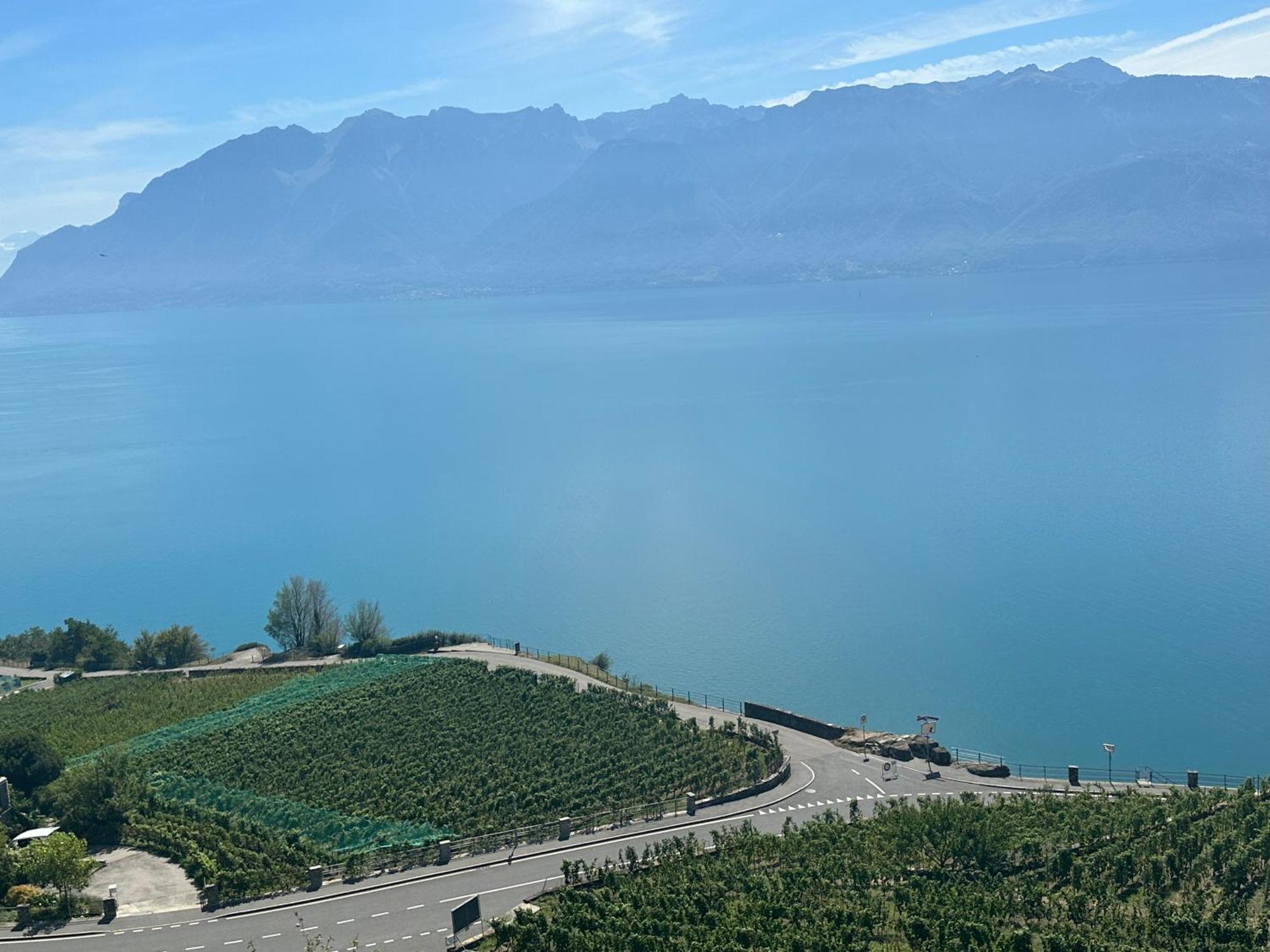 Room With 360° View Overlooking Lake Geneva And Alps Puidoux Kültér fotó